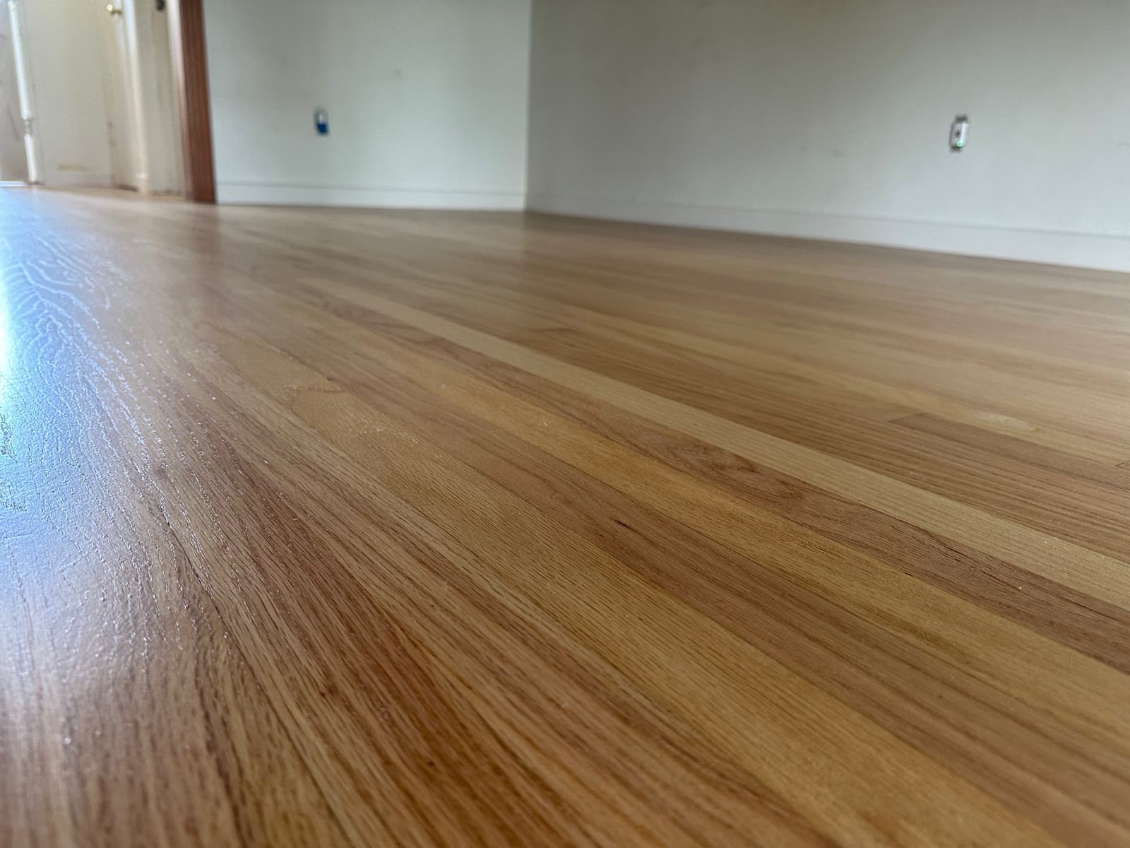 Low-angle view of grain and sheen on a refinished red oak strip floor