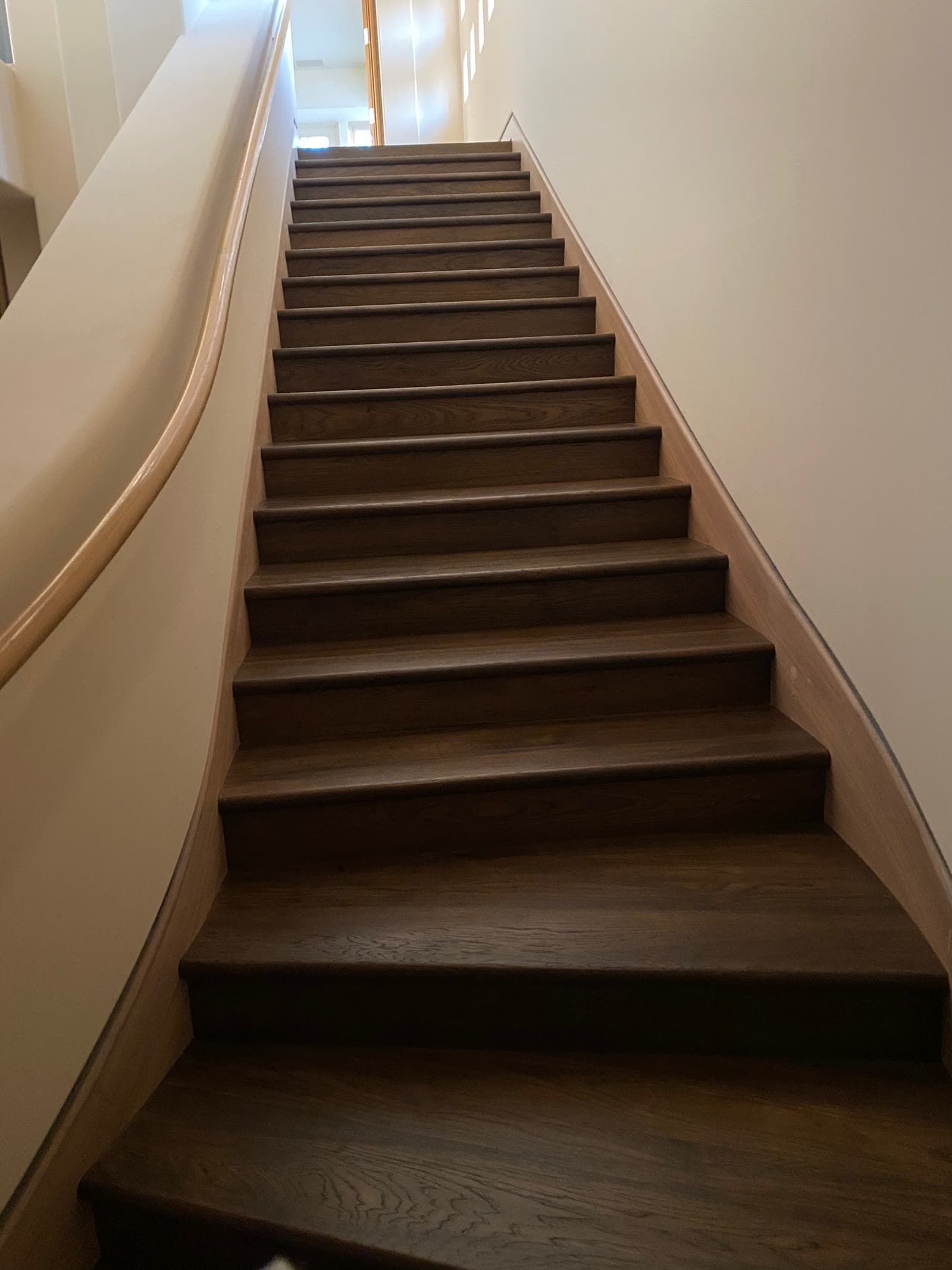 Straight flight of dark-stained white oak stairs beside a curved wall with a pale oak handrail cap